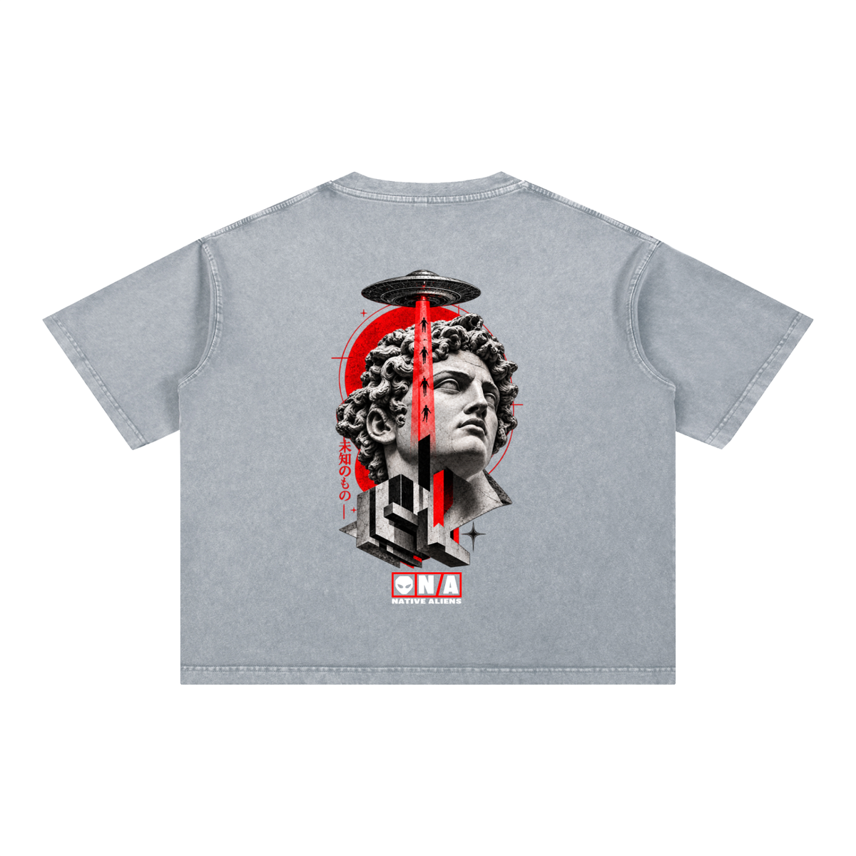 Unknown Boxy Cotton T-Shirt